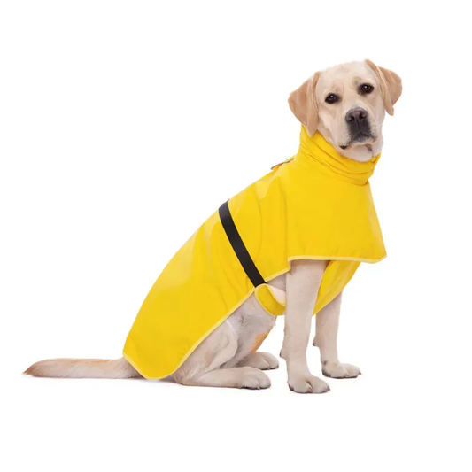 R3 IMPERMÉABLE CHUBASQUERO AMARILLO