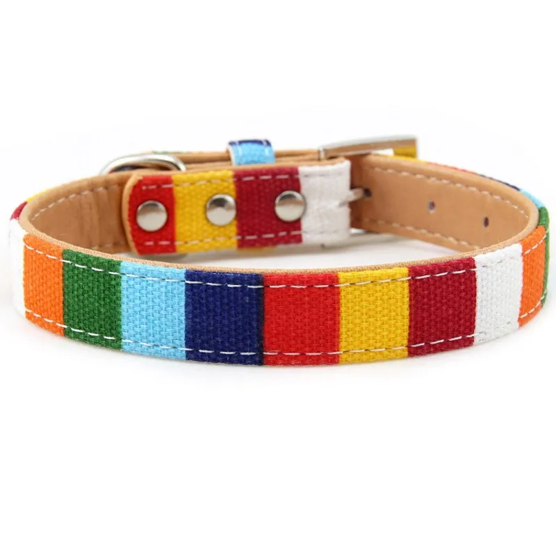 C7 COLLAR DE COLORES CHICO