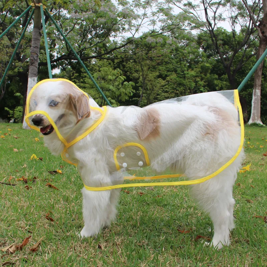 R13 IMPERMEABLE PARA PERRO CHUBASQUERO TRANSPARENTE BORDE AMARILLO