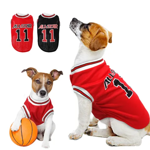 R16 JERSEY BASKETBALL PARA PERROS