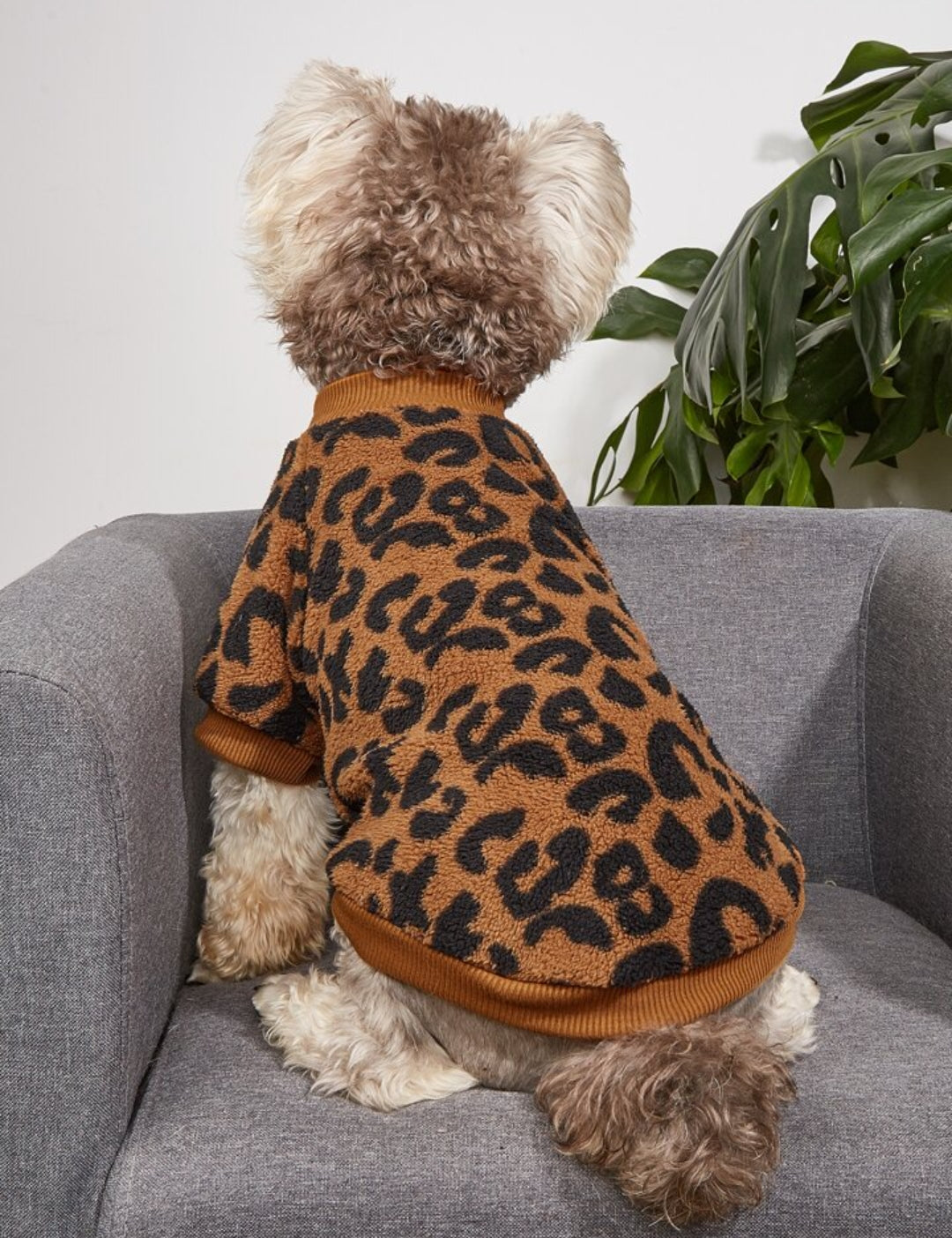 R14 SUÉTER PARA PERRO DISEÑO LEOPARDO